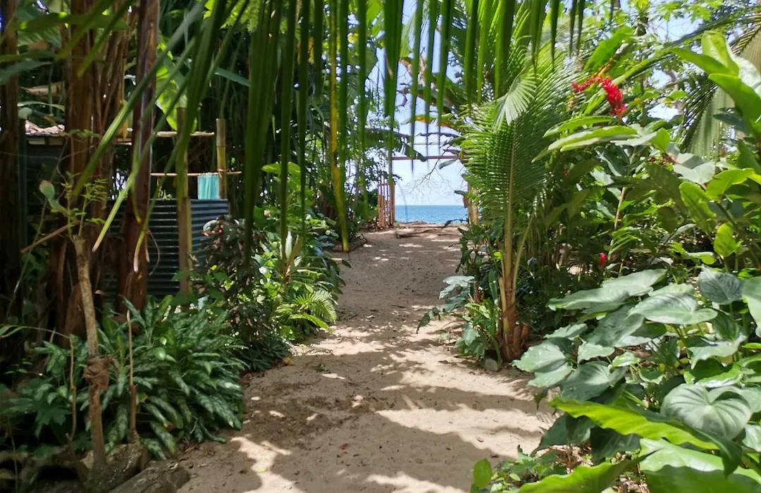 Oasis Beachfront Hostel-1