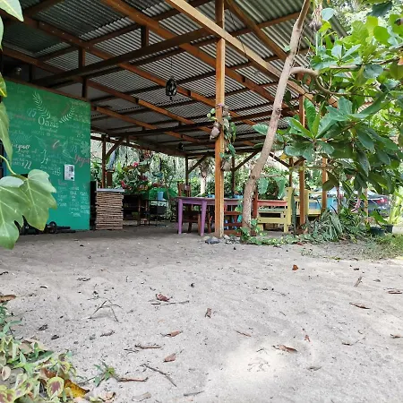 Oasis Beachfront Hostel-2